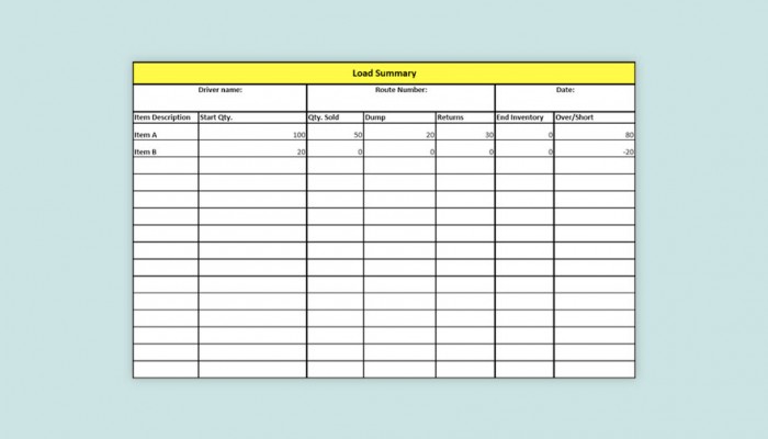 Track Truck Inventory On A Spreadsheet - LaceUp Solutions